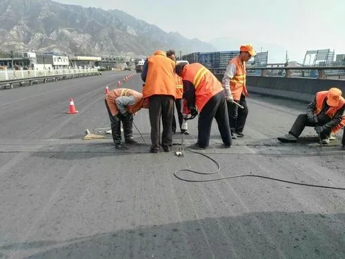 沙湖原种场道路桥梁病害治理